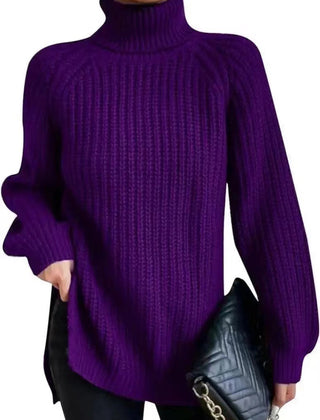 Shona Chunky Roll Neck Longline Jumper in Purple