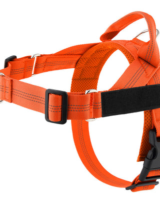 Nicky No Pull Dog Harness with Front Clip