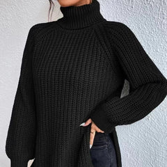 Shona Chunky Roll Neck Longline Jumper in Black