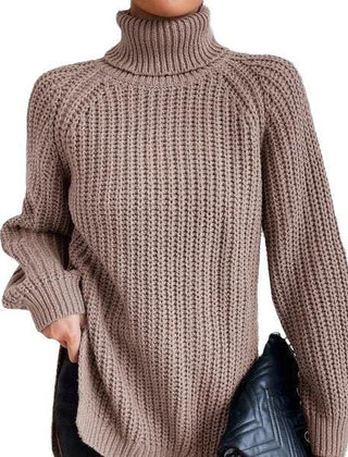 Shona Chunky Roll Neck Longline Jumper in Taupe